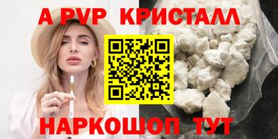тгк Гай