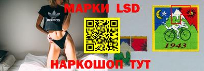 тгк Гай