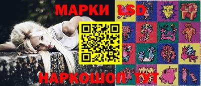 СК Гатчина