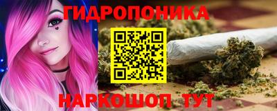 тгк Гай