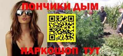 spice Гагарин