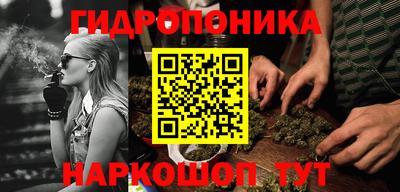 СК Гатчина
