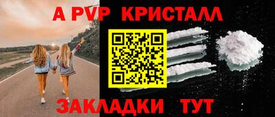 тгк Гай