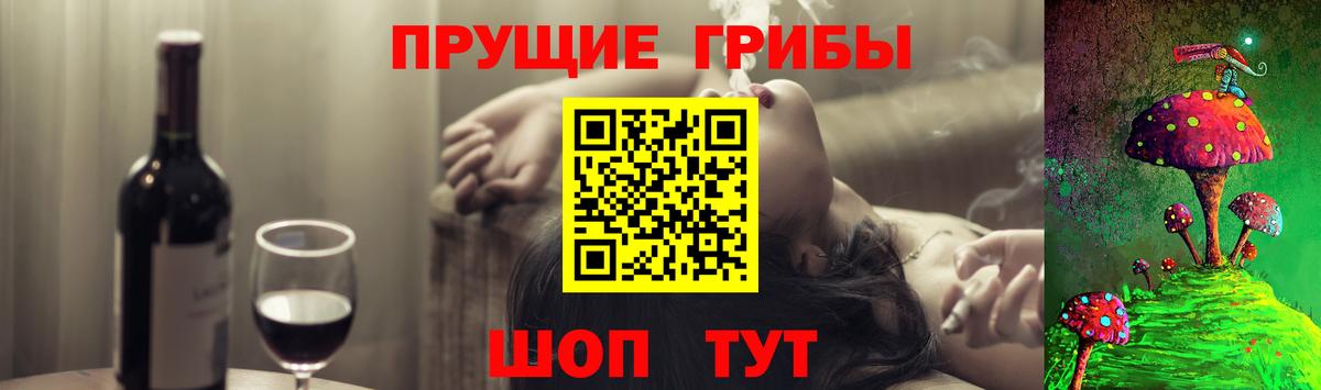 Грозный  Галлюциногенные грибы Psilocybine cubensis  Вход с VPN 